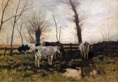 Cows on Pasture by Anton Mauve